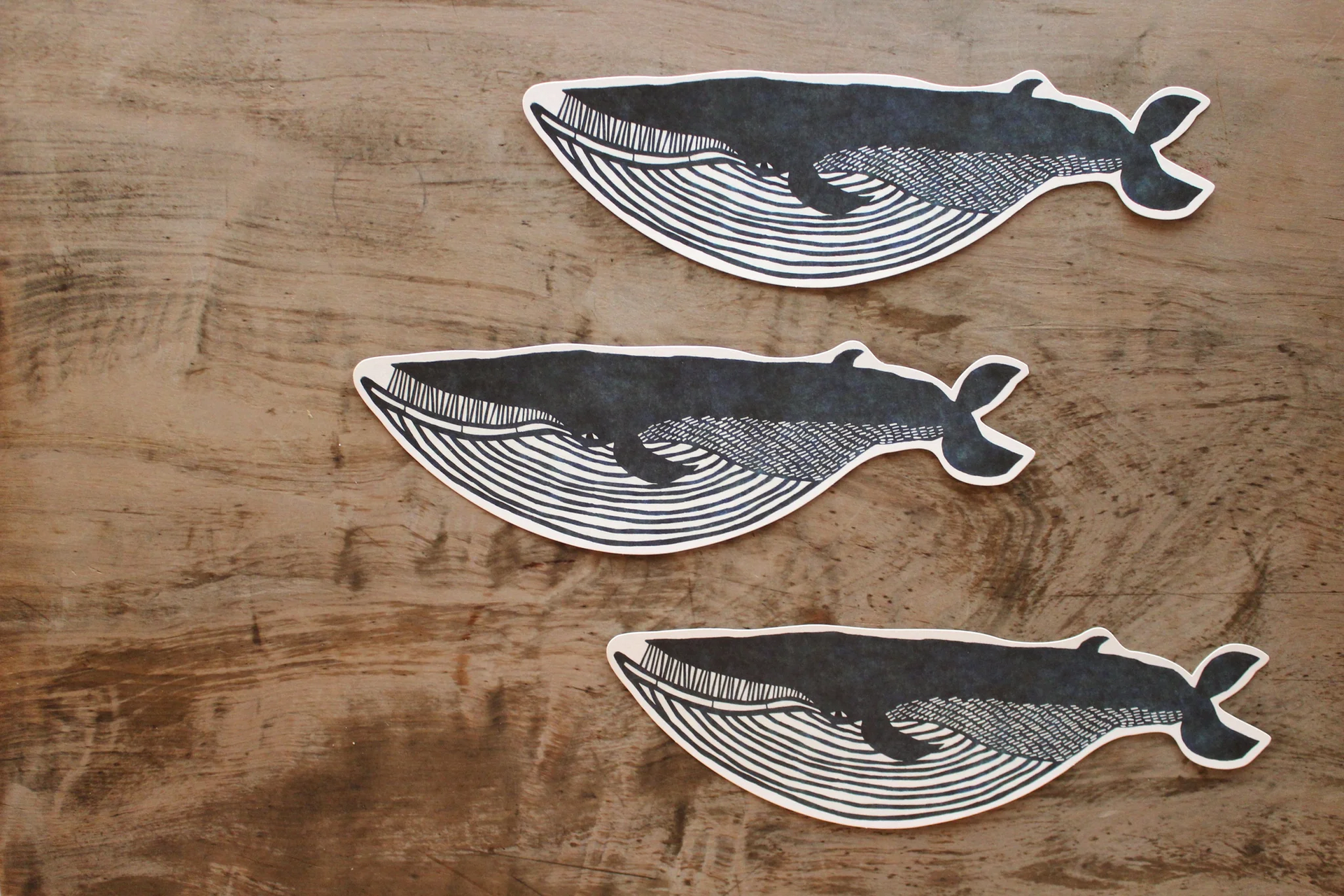 Greeting card < Fin Whale >