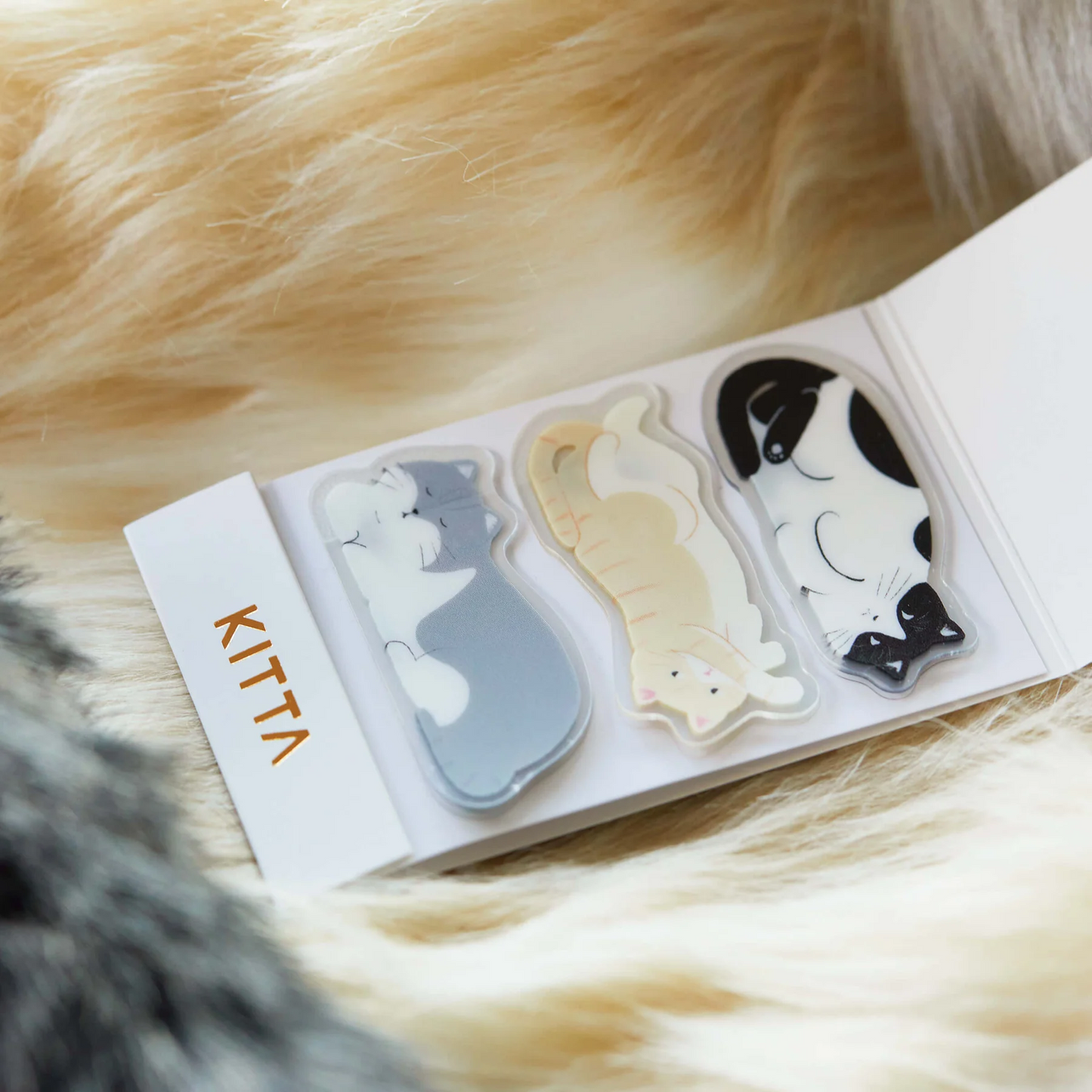 KITTA Clear Cat