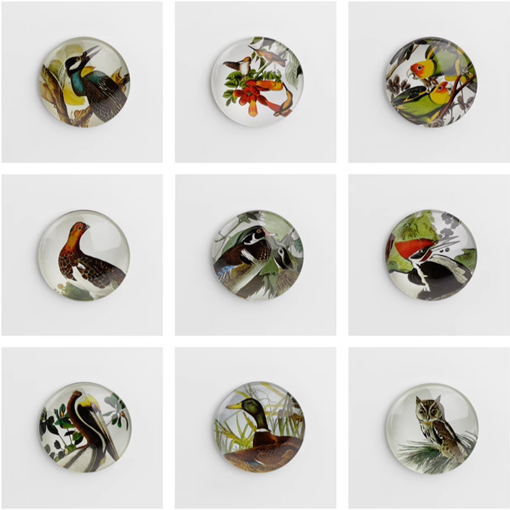 Magnet < Audubon: Birds of America >  Brooklyn Museum