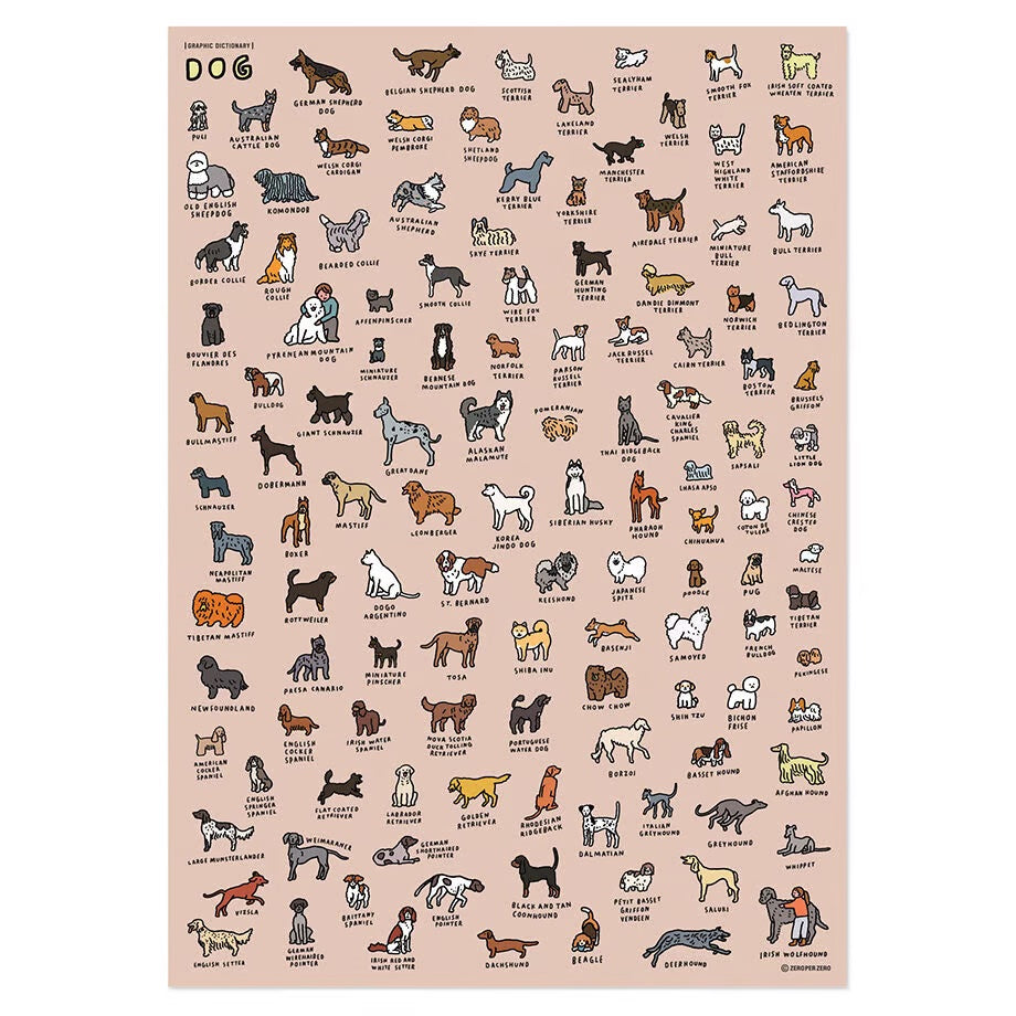 Graphic Dictionary Poster < Dog dictionary >