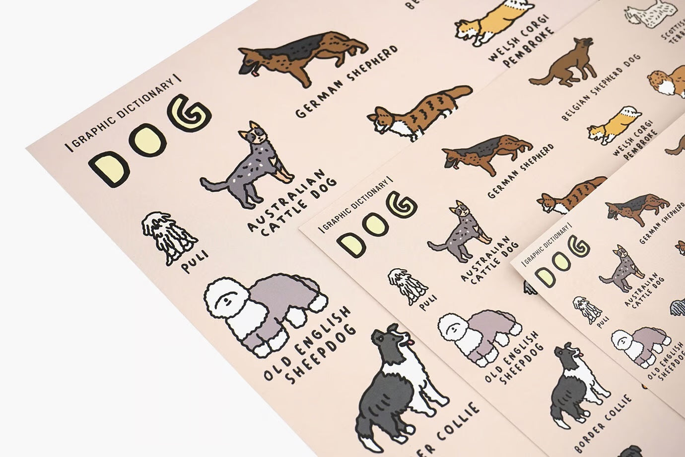 Graphic Dictionary Poster < Dog dictionary >