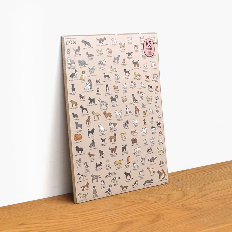 Graphic Dictionary Poster < Dog dictionary >